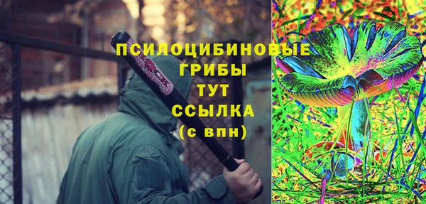 индика Абдулино