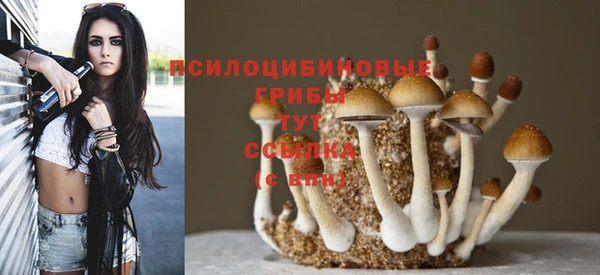 индика Абдулино