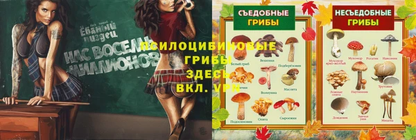 индика Абдулино