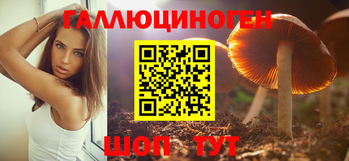 Псилоцибиновые грибы Magic Shrooms  Вход с VPN  Кизляр 