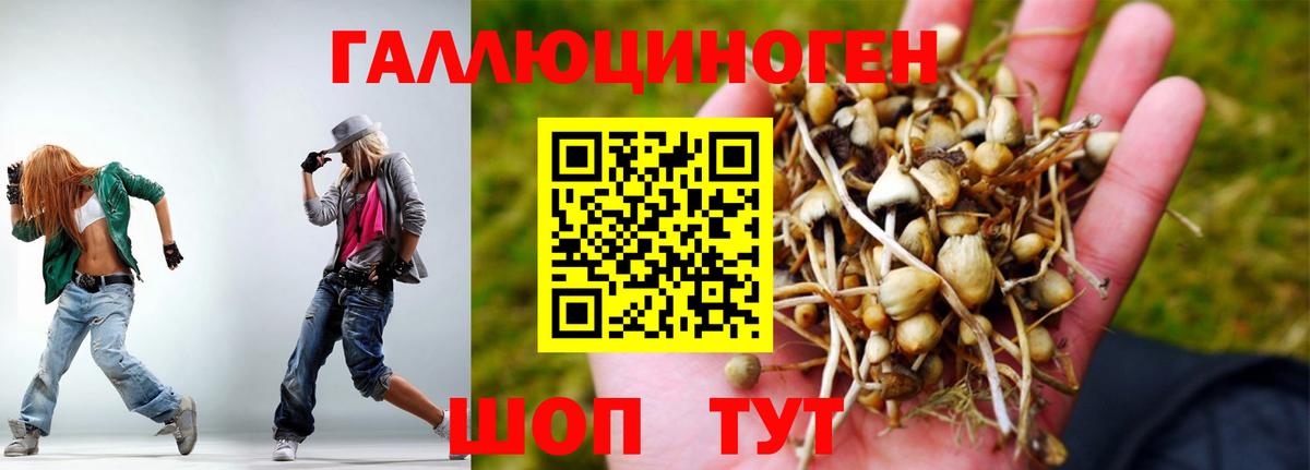 Галлюциногенные грибы Cubensis Кизляр